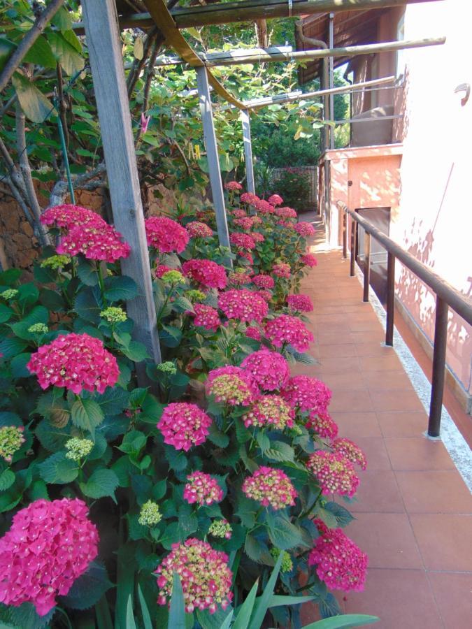 Casa Roberto B&B Savona Luaran gambar